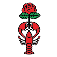 Baton Rouge DSA logo